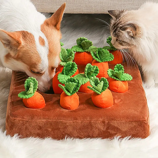 Interactive Carrot Snuffle Toy 🐕