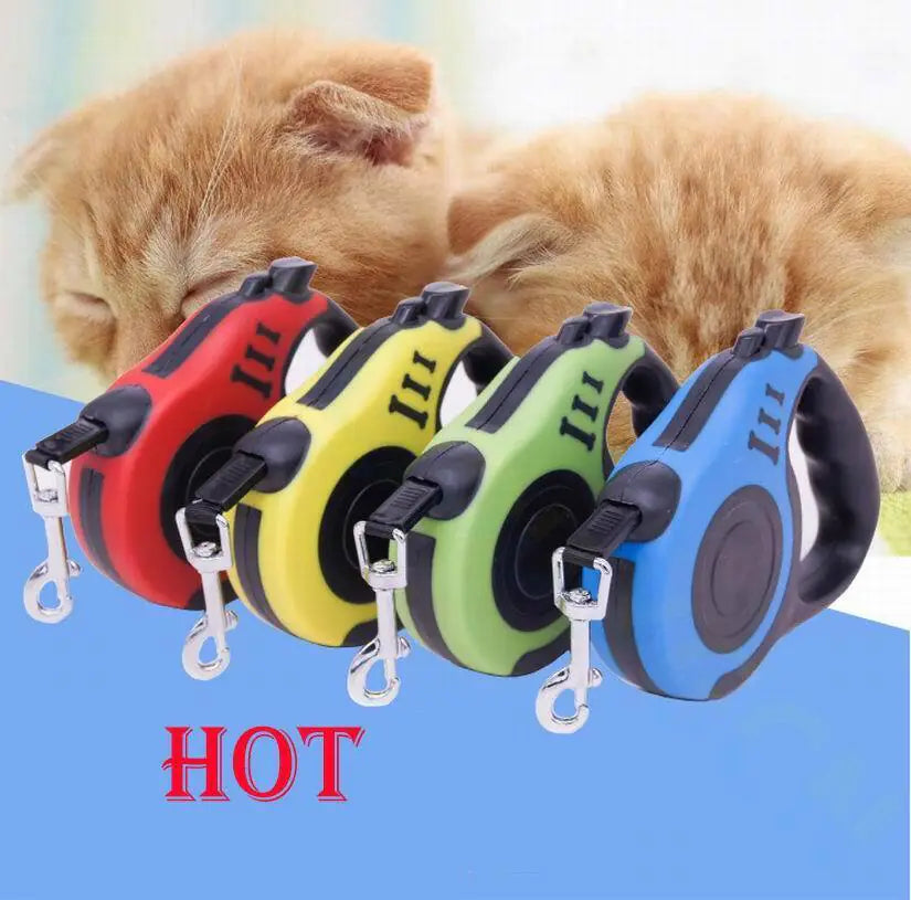 colorful retractable dog leashes