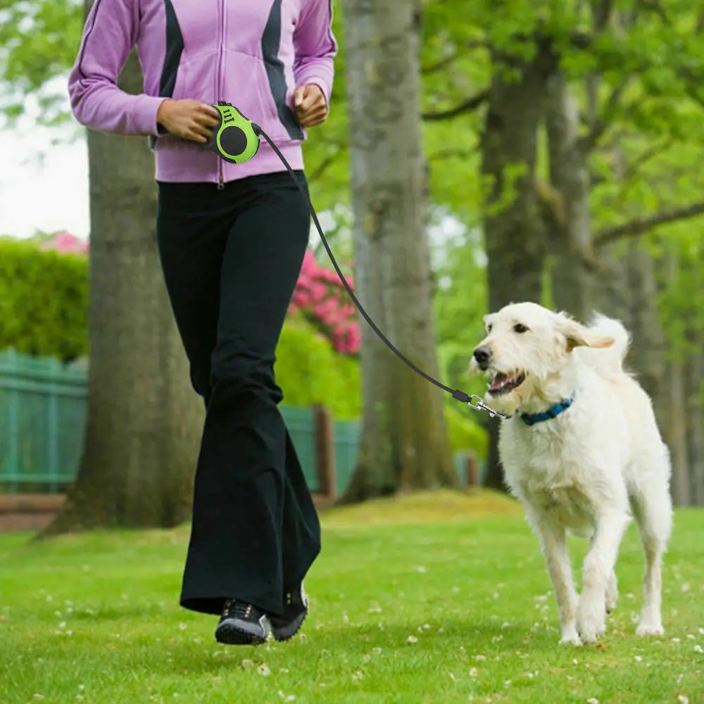 Automatic Retractable Dog Leash Pet Collar Automatic Walking Lead Free US